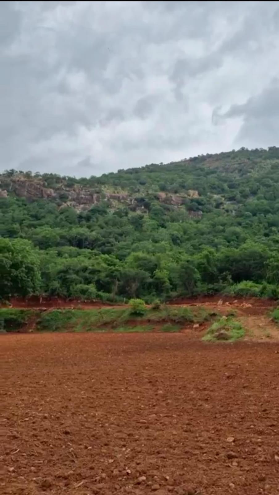 1 Acre Hill-View Land for Sale – Doddaballapura
